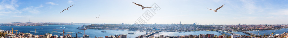 苏莱曼尼耶满的伊斯坦布尔金角湾全景著名点土耳其伊斯坦布尔金角湾土耳其城市景观假期背景