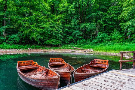 比奥格拉茨科黑山森林Biogradskoe湖上旧木制船黑山森林生物格勒公园耶泽罗背景
