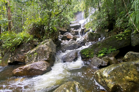 水生物群落新鲜的瀑布辛哈拉贾公园雨林辛哈拉贾森保护区世界遗产址教科文组织生物圈保护区斯里兰卡荒野地区亚洲背景图片