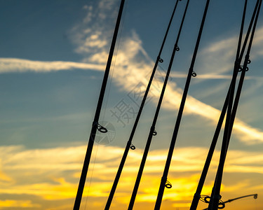 极晚上爱好太阳下山时天前直立钓鱼棒的休眠图片