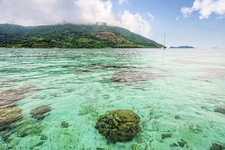 夏不让利美丽的自然景观清澈绿色海水俯瞰着丽贝岛的浅珊瑚礁在蓝天夏看到阿当岛作为背景Tarutao公园沙敦泰国清澈的绿色大海俯瞰着丽贝岛的背景