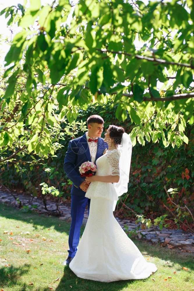 刚在公园快乐新娘和郎结婚穿着礼服和西装在美丽的花园罗曼蒂克年轻已婚家庭中行走欢乐新娘和郎白色的肖像微笑图片