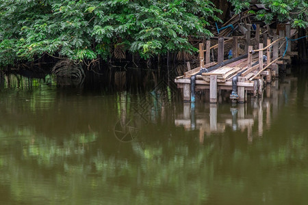 一种环境以绿树为背景在小河或池塘上架设一座木桥旅游图片