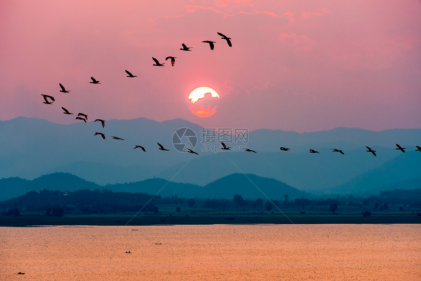 景观红色的美丽自然风景鸟群在山上日落时湖水红太阳下连排飞行在山上多彩的天空飞过湖面在泰国SuphanBuri的KrasiaoDa图片