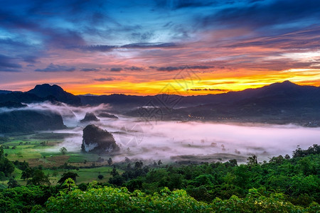 树亚洲清晨在泰国PhayaoPhuLangKa的薄雾中升起多路段图片