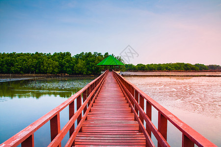 蓝色的森林工程清晨在海边和滩阳光下旅行的红桥大自然中的美丽图片