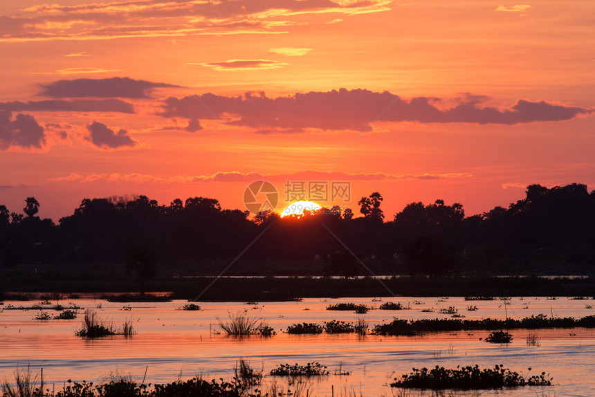 自然缅甸蒲甘伊洛瓦底江日落竿卷轴图片