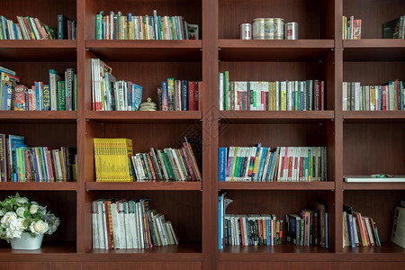 图书柜收藏墙手册清莱泰国20年9月6日至20WoodenViewofWooden图书馆架上的图文学和植物的各种书集背景