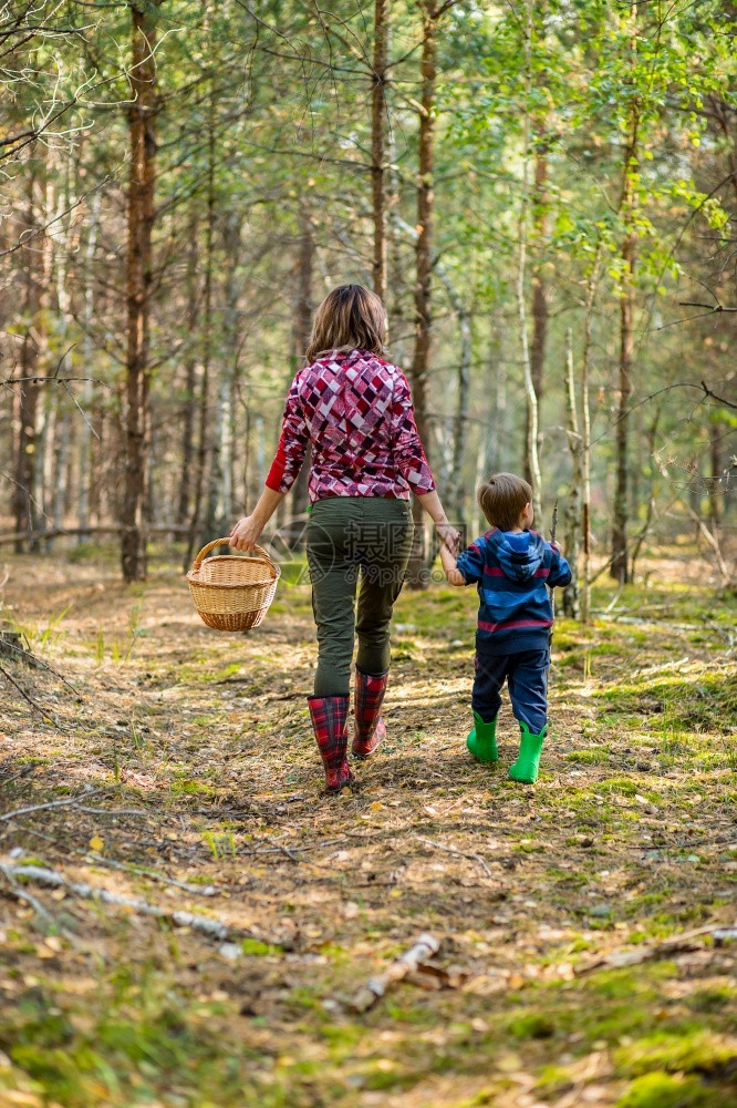 儿童在森林中行走时在森林中采摘甘蔗和蘑菇家庭在森林中行走娱乐学校兄弟图片