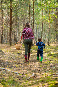 儿童在森林中行走时在森林中采摘甘蔗和蘑菇家庭在森林中行走娱乐学校兄弟图片