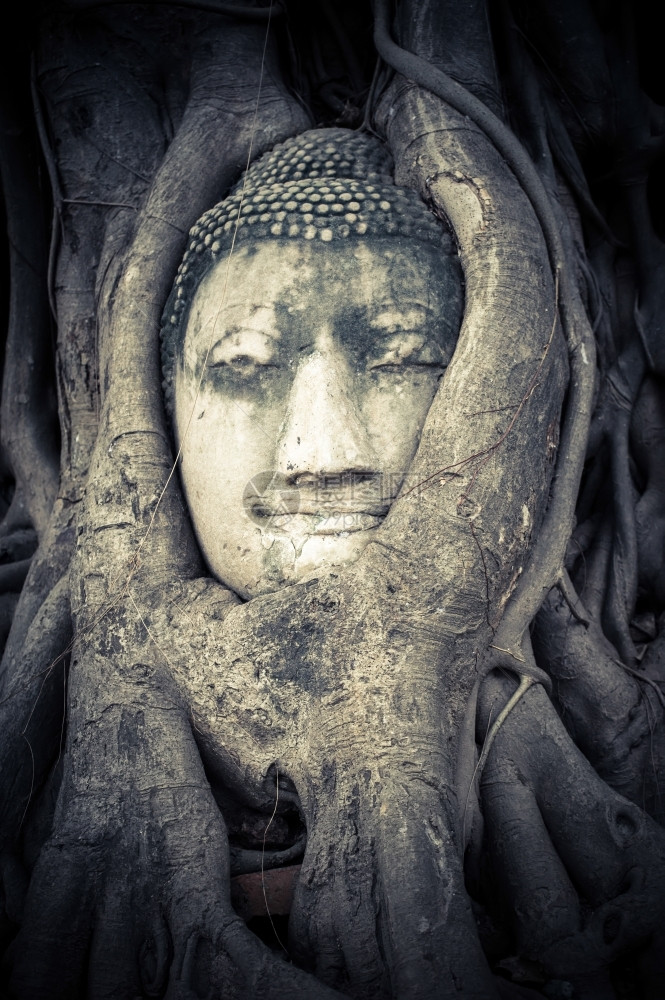古老的沙石雕塑在泰国的马哈特阿尤塔亚WatMahathatAyutthaya优质的宗教笏图片