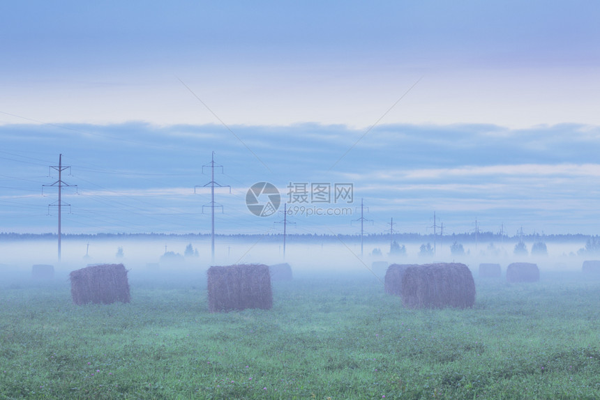 Foggy田地日落时有干草堆和电报杆天空三叶草季节图片