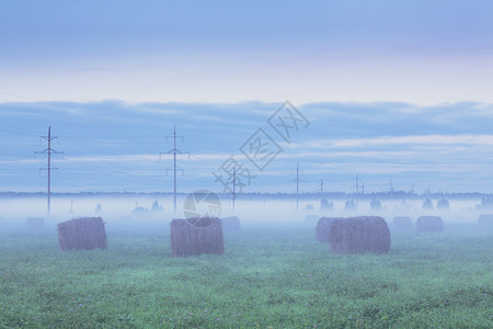 Foggy田地日落时有干草堆和电报杆天空三叶草季节图片