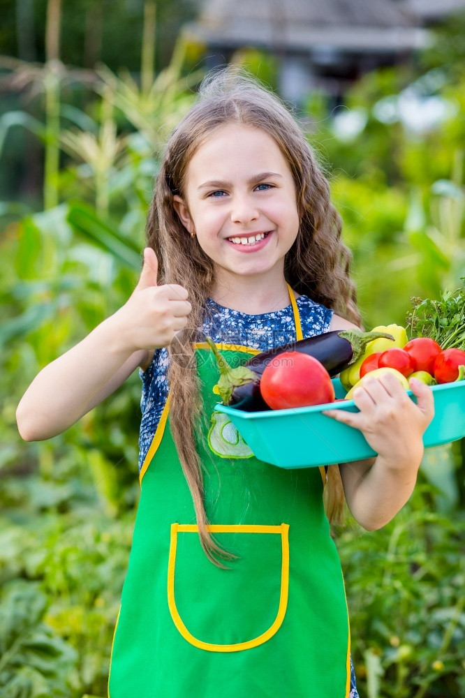 农场里的孩子和蔬菜选择焦点农场里孩子和蔬菜手婴儿生长图片