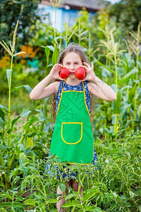 自然可爱的农场里孩子和蔬菜选择焦点农场里孩子和蔬菜绿色图片