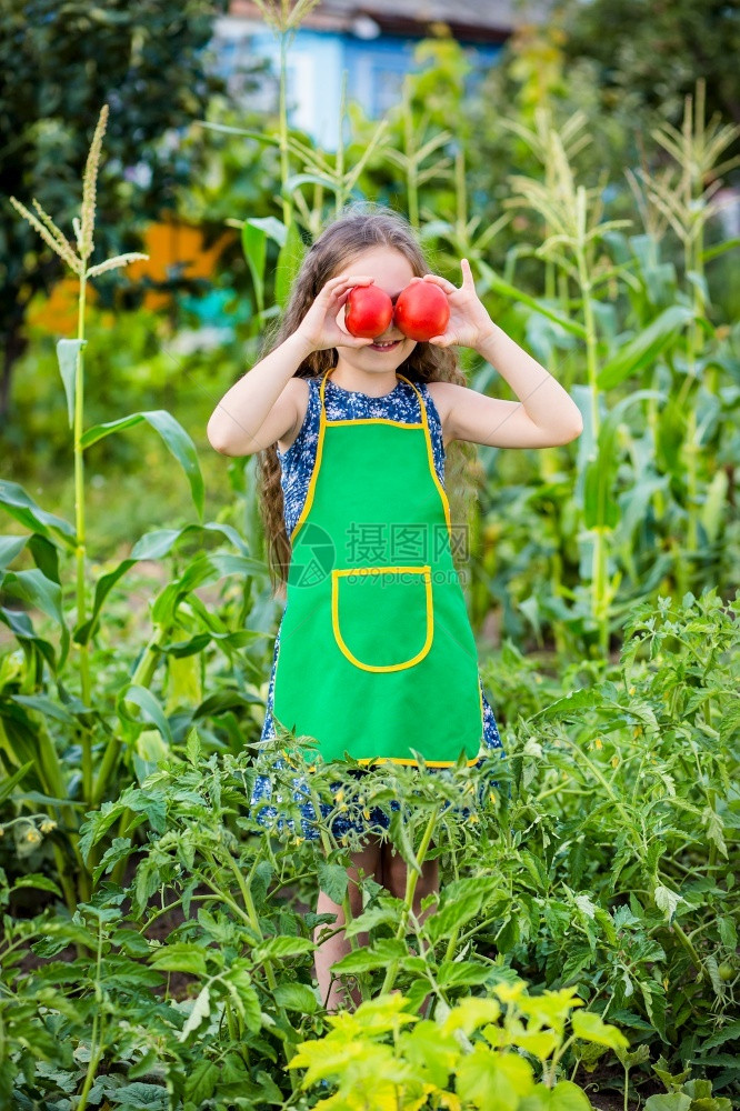 花园农场里的孩子和蔬菜选择焦点农场里孩子和蔬菜女图片