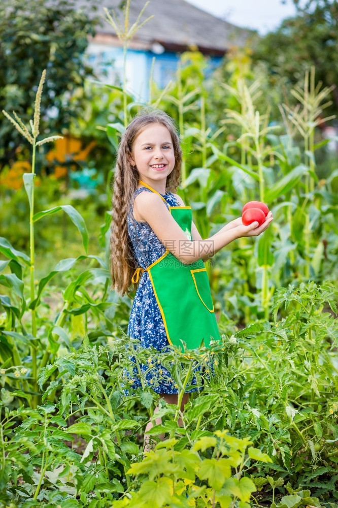 人们农场里的孩子和蔬菜选择焦点农场里孩子和蔬菜太阳图片