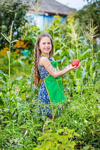 人们农场里的孩子和蔬菜选择焦点农场里孩子和蔬菜太阳图片