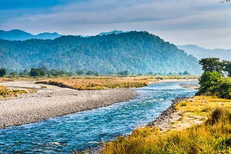 谷山在吉姆科贝特公园流动的拉姆甘加河自然景观绿色图片