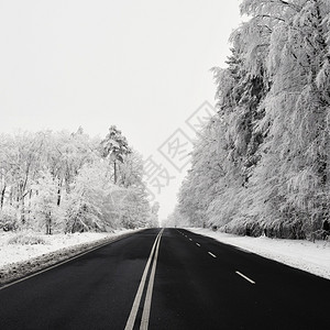 沥青空旷的道路与雪覆盖风景美丽冬季运输和汽车的节背景阳光下雪图片