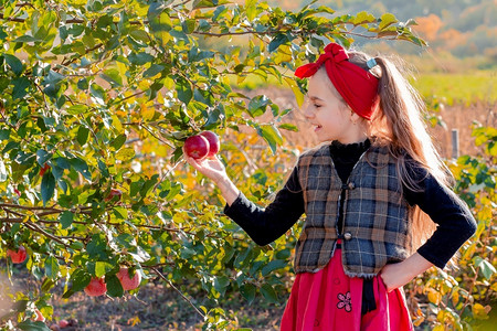 成功新鲜的健康农场花园里一个可爱女孩的画像手里拿着一个红苹果图片