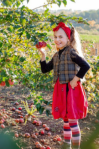 孩子们篮季节农场花园里一个可爱女孩的画像手里拿着一个红苹果图片
