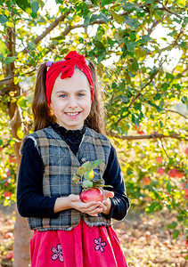 农场花园里一个可爱女孩的画像手里拿着一个红苹果可爱的户外植物图片