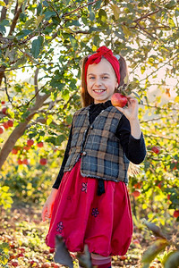 季节幸福农场花园里一个可爱女孩的画像手里拿着一个红苹果植物图片