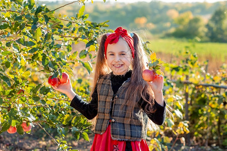 饮食肖像农场花园里一个可爱女孩的画像手里拿着一个红苹果庄稼图片