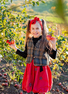 新的农场花园里一个可爱女孩的画像手里拿着一个红苹果庄稼携带图片