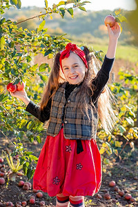 树草农场花园里一个可爱女孩的画像手里拿着一个红苹果年级图片