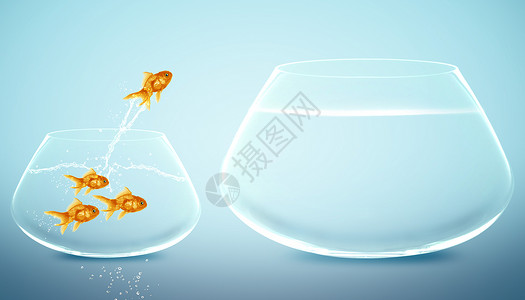 金鱼和鱼缸宠物游泳金鱼跳跃到大碗新生命的好概念大丰富远理想和挑战概念安格莱鱼跳跃到大碗勇气设计图片