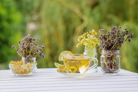 大冠椴树植物茶碗高清图片