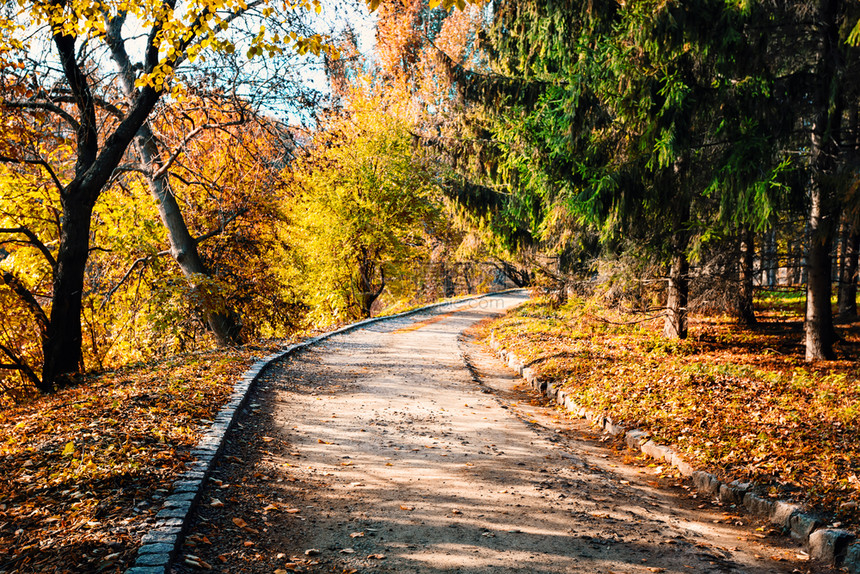 远足自然秋季公园的阿斯法特路径秋季公园的迁徙和自由概念秋季公园的迁徙和自由叶子图片