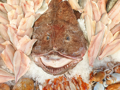 荒野地中海动物鱼市小摊位的新鲜鱼在中间有一个大鱼图片