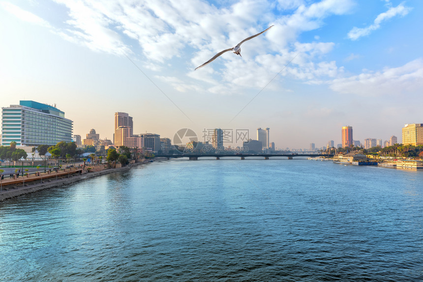 水摩天大楼埃及开罗市中心的尼河景观埃及开罗市中心的尼河景观手掌图片