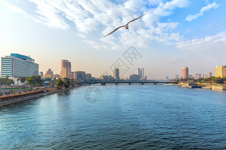 水摩天大楼埃及开罗市中心的尼河景观埃及开罗市中心的尼河景观手掌图片