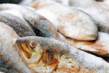 餐厅冷冻在海产食品市场销售新鲜鱼特观为了图片
