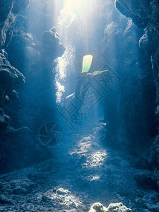 在有神明光照耀的洞穴里潜水Scuba潜水员礁海埃及图片