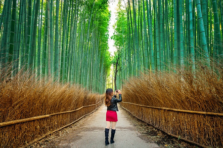 日本京都竹林拍摄照片的女孩图片