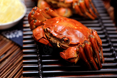 美丽蚌烤混合的海鲜加龙虾平静鱼蓝面圈和大虾蒜图片