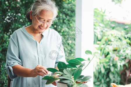 水一位快乐和微笑的亚洲老年妇女在退休后家里安放业余爱好为老年人创造幸福生活方式和良好健康的概念对年长者来说活动关心背景图片