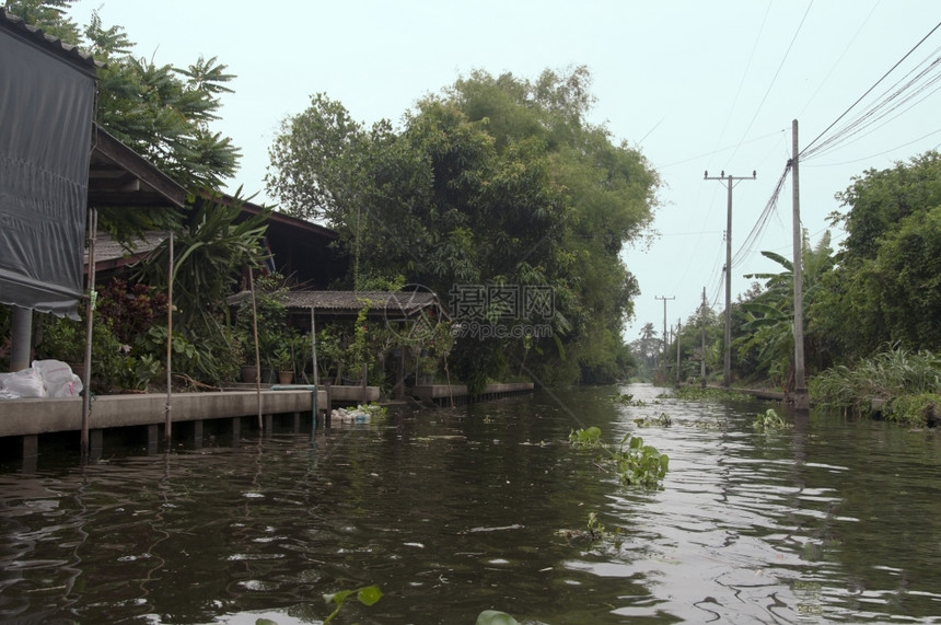 曼谷klongs河的水天空和自然棕色的建筑学绿图片