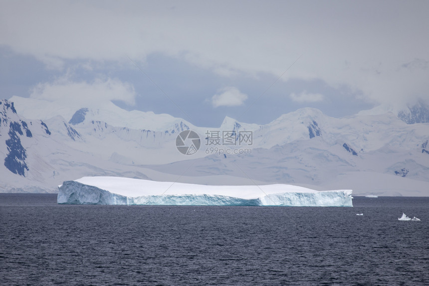 远的宽度美丽闪发光蓝色冰山在海中雾的峰前游泳偏蓝图片