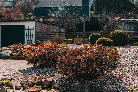 欧洲花园的雪灌木夏光柔软结石传统的英国图片