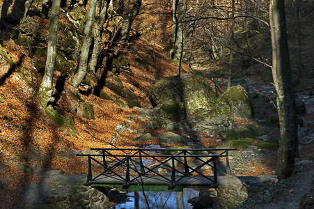 秋季山林中的小桥图片