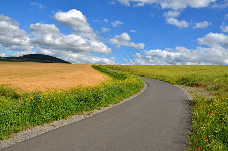 环境谷物田间小公路粗俗的自然图片