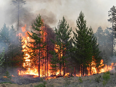 级联森林火灾和烟雾野森林灾和烟雾野衬套高清图片
