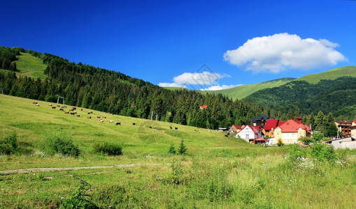 翠谷风景优美喀尔巴阡山脉乌克兰地景观千米图片