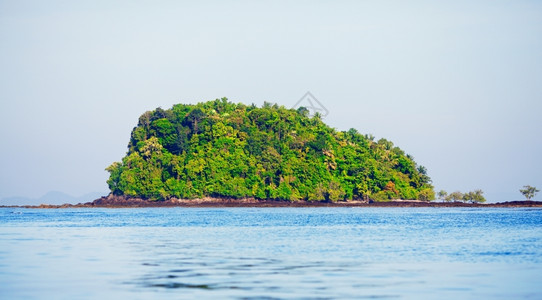 自然泰国安达曼海带树木的长岛甲米支撑图片